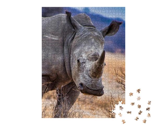 White Rhinoceros, Khama Rhino Sanctuary, Botswana... Jigsaw Puzzle with 1000 pieces