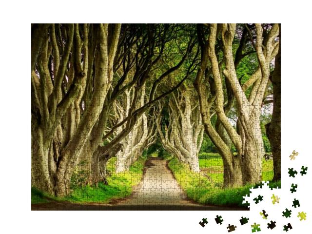 Dark Hedges in Armoy, Northern Ireland At Day Sunlight. I... Jigsaw Puzzle with 1000 pieces