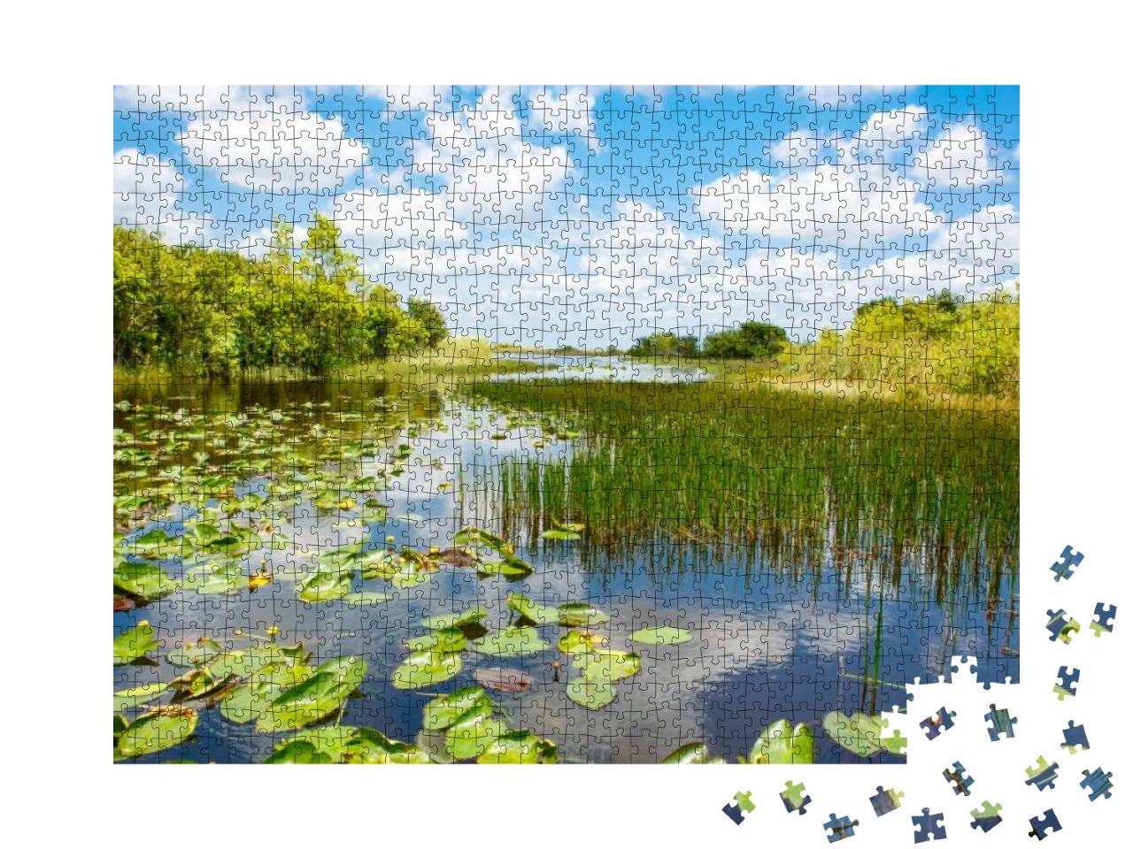 Florida Wetland, Airboat Ride At Everglades National Park... Jigsaw Puzzle with 1000 pieces
