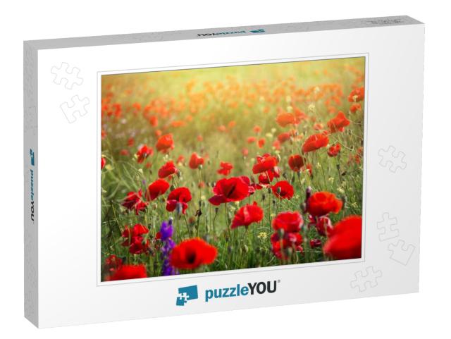 Vivid Poppy Field. Beautiful Red Poppy Flowers on Green F... Jigsaw Puzzle