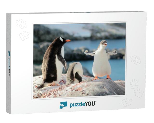 Strongest Gentoo Penguin Cute Funny Baby Chick Mummy Mom... Jigsaw Puzzle