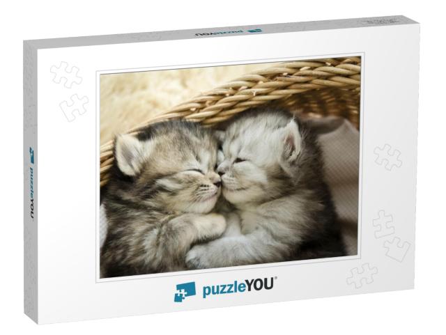 Cute Tabby Kittens Sleeping & Hugging in a Basket... Jigsaw Puzzle