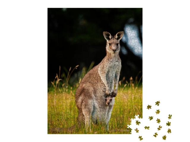 Kangaroo with Her Joey in Pouch... Jigsaw Puzzle with 1000 pieces