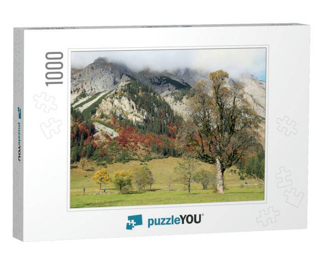 Five Hundred Years Old Maple Trees & the Karwendel Mounta... Jigsaw Puzzle with 1000 pieces