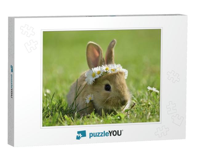 Bunny in Grass, Daisy Coronet, Spring & Easter... Jigsaw Puzzle
