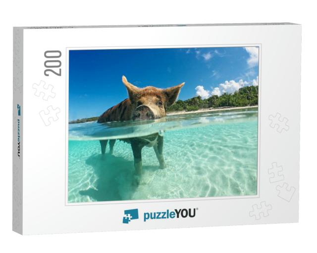 Wild, Swimming Pig on Big Majors Cay in the Bahamas... Jigsaw Puzzle with 200 pieces