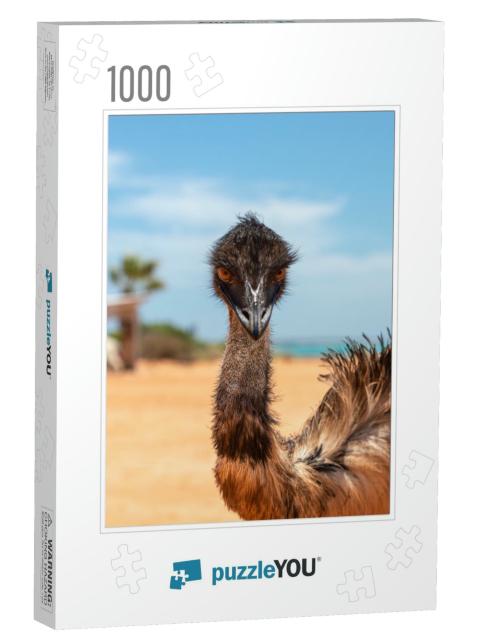 Wild Emu Family in the Bush At Shark Bay, Francois Peron... Jigsaw Puzzle with 1000 pieces