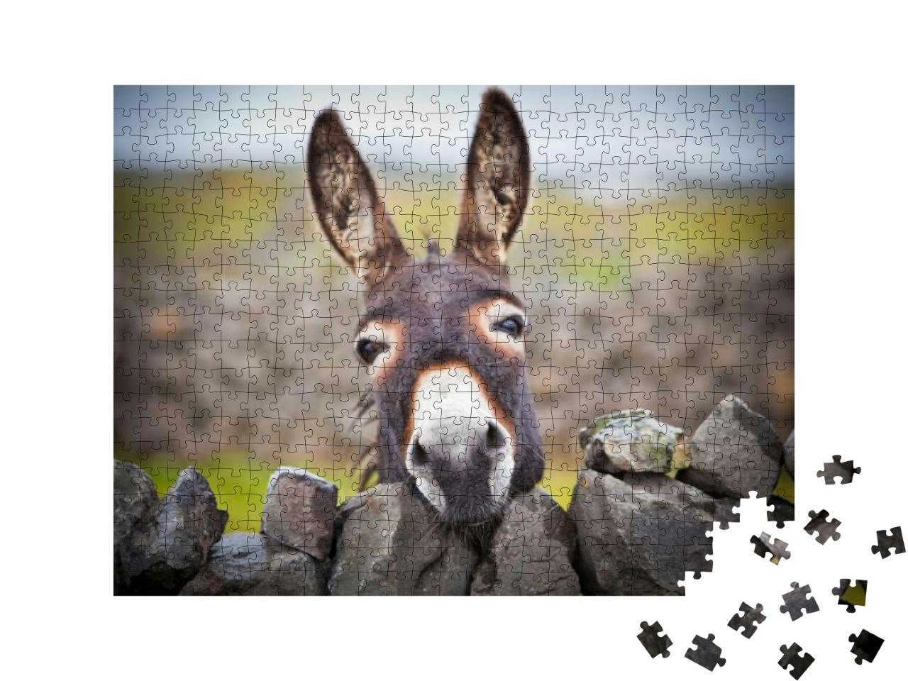 A Nice Donkey Under the Rain. Aran Islands, Ireland... Jigsaw Puzzle with 500 pieces