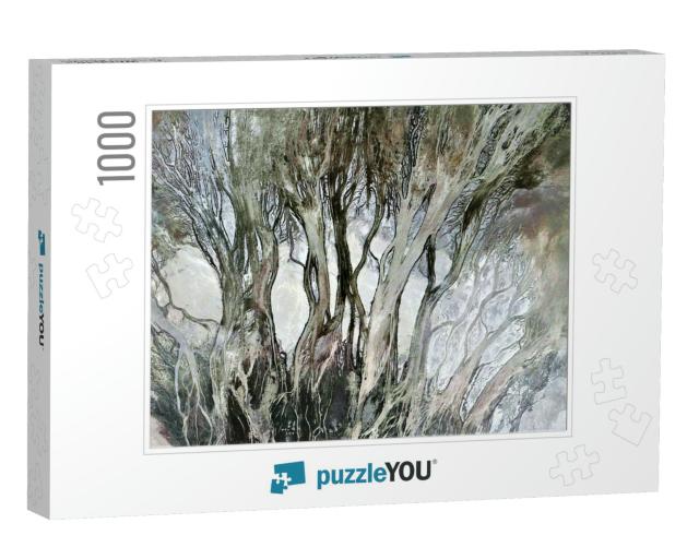 The Enchanted Forest, Tribute to Pollock, Abstract Photog... Jigsaw Puzzle with 1000 pieces