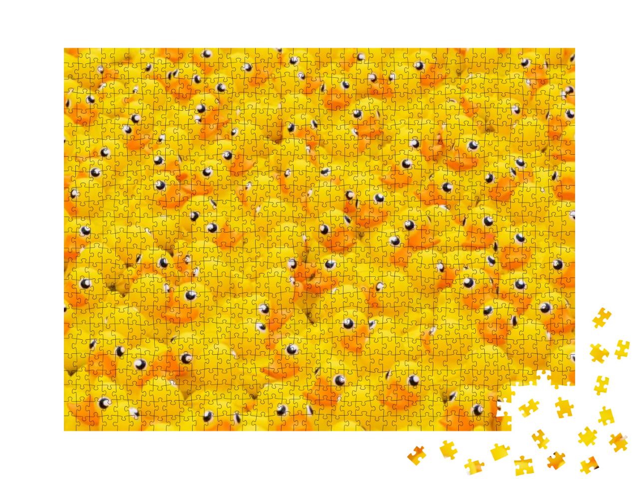 Yellow Toy Duck Floating in the Pool... Jigsaw Puzzle with 1000 pieces