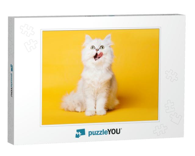Funny Large Longhair White Cute Kitten with Beautiful... Jigsaw Puzzle