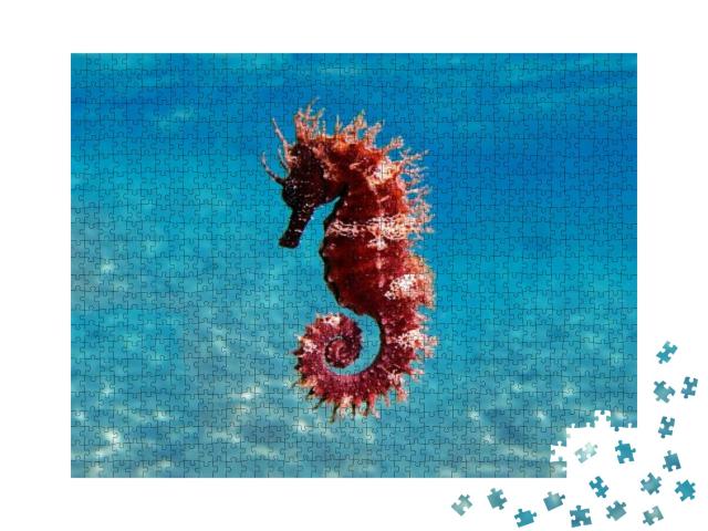 Mediterranean Seahorse - Hippocampus Guttulatus... Jigsaw Puzzle with 1000 pieces