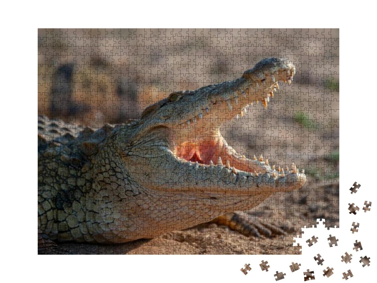 A Nile Crocodile Seen on a Safari in South Africa... Jigsaw Puzzle with 1000 pieces
