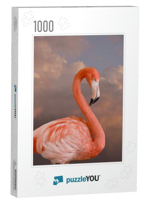 American Flamingo. the American Flamingo Phoenicopterus R... Jigsaw Puzzle with 1000 pieces