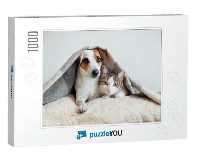 Dog & Cat Together. Dog Hugs a Cat Under the Rug At Home... Jigsaw Puzzle with 1000 pieces