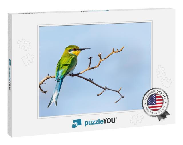 Swallow-Tailed Bee-Eater Merops Hirundineus Perched on Ac... Jigsaw Puzzle