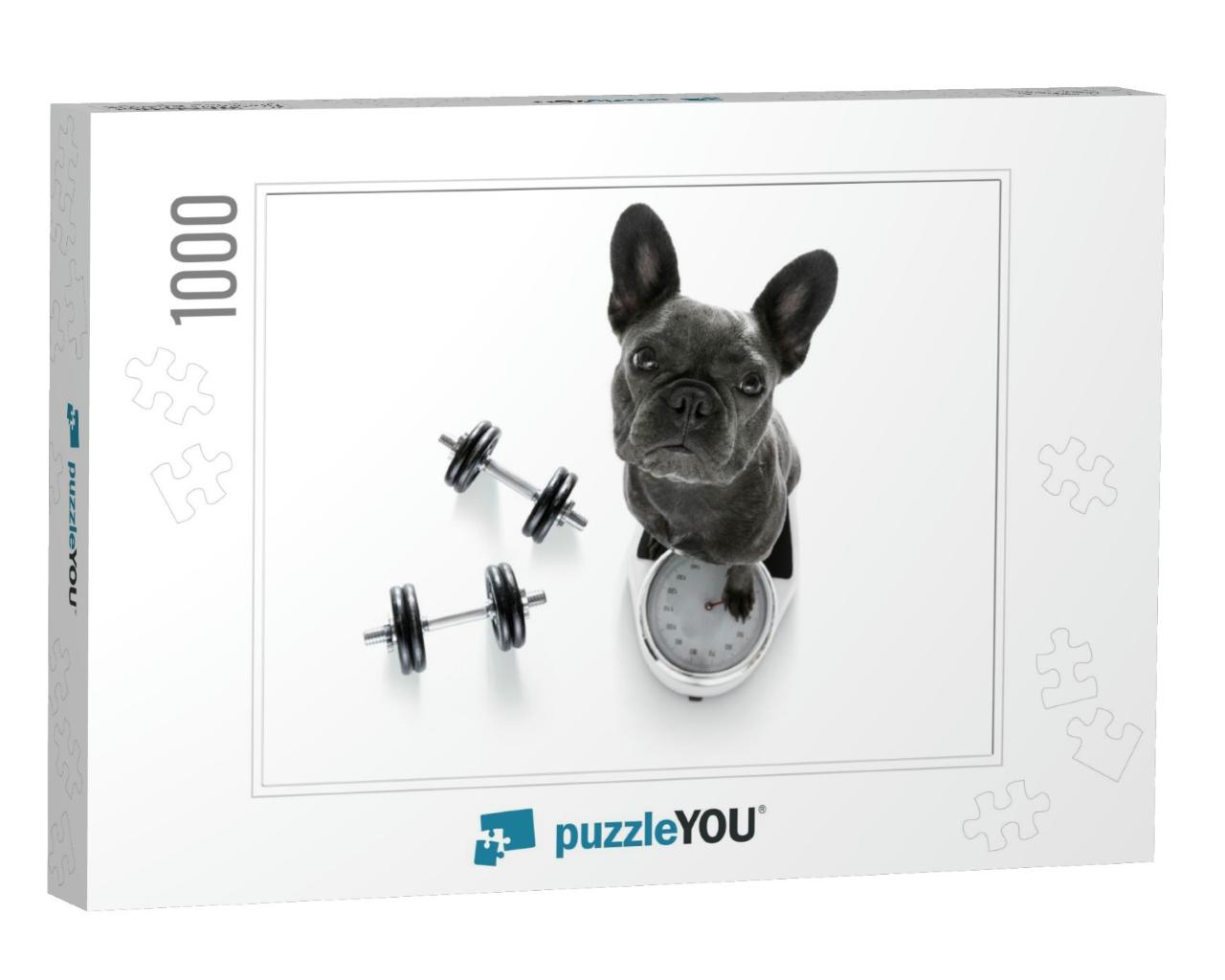 French Bulldog Dog with Guilty Conscience for... Jigsaw Puzzle with 1000 pieces