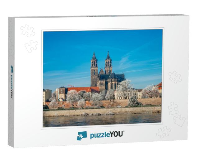 Magdeburg Historical Downtown in Winter with Icy Trees &... Jigsaw Puzzle