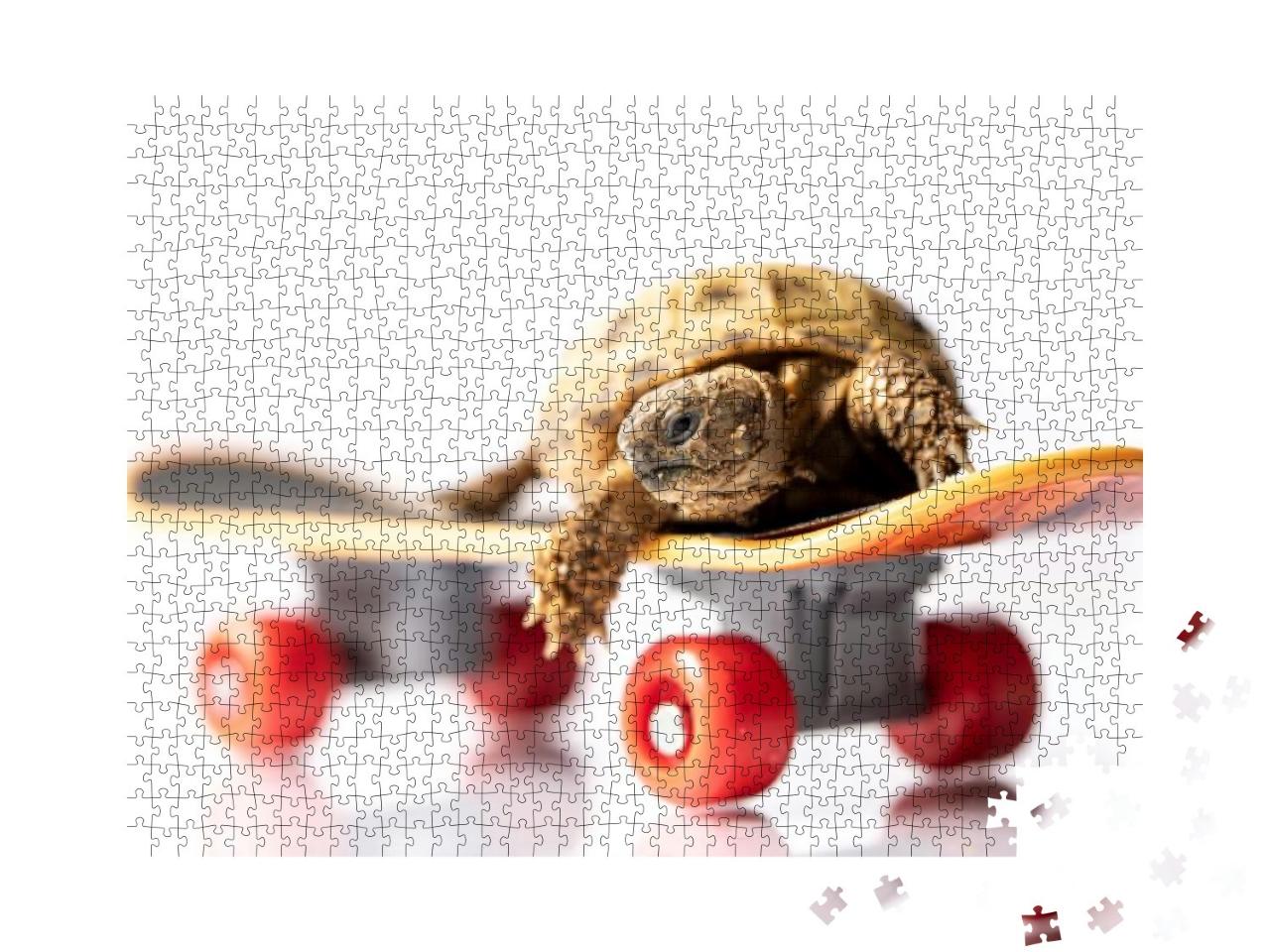 Baby Tortoise Turtle on a Skateboard on a White Backgroun... Jigsaw Puzzle with 1000 pieces