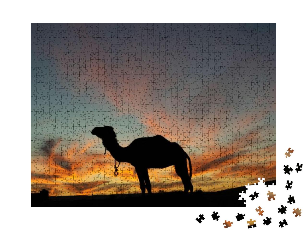 Dromedar Silhouette in a Beautiful Desert Evening... Jigsaw Puzzle with 1000 pieces