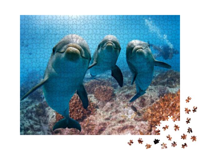 Dolphin Portrait Detail of Eye While Looking At You from... Jigsaw Puzzle with 1000 pieces