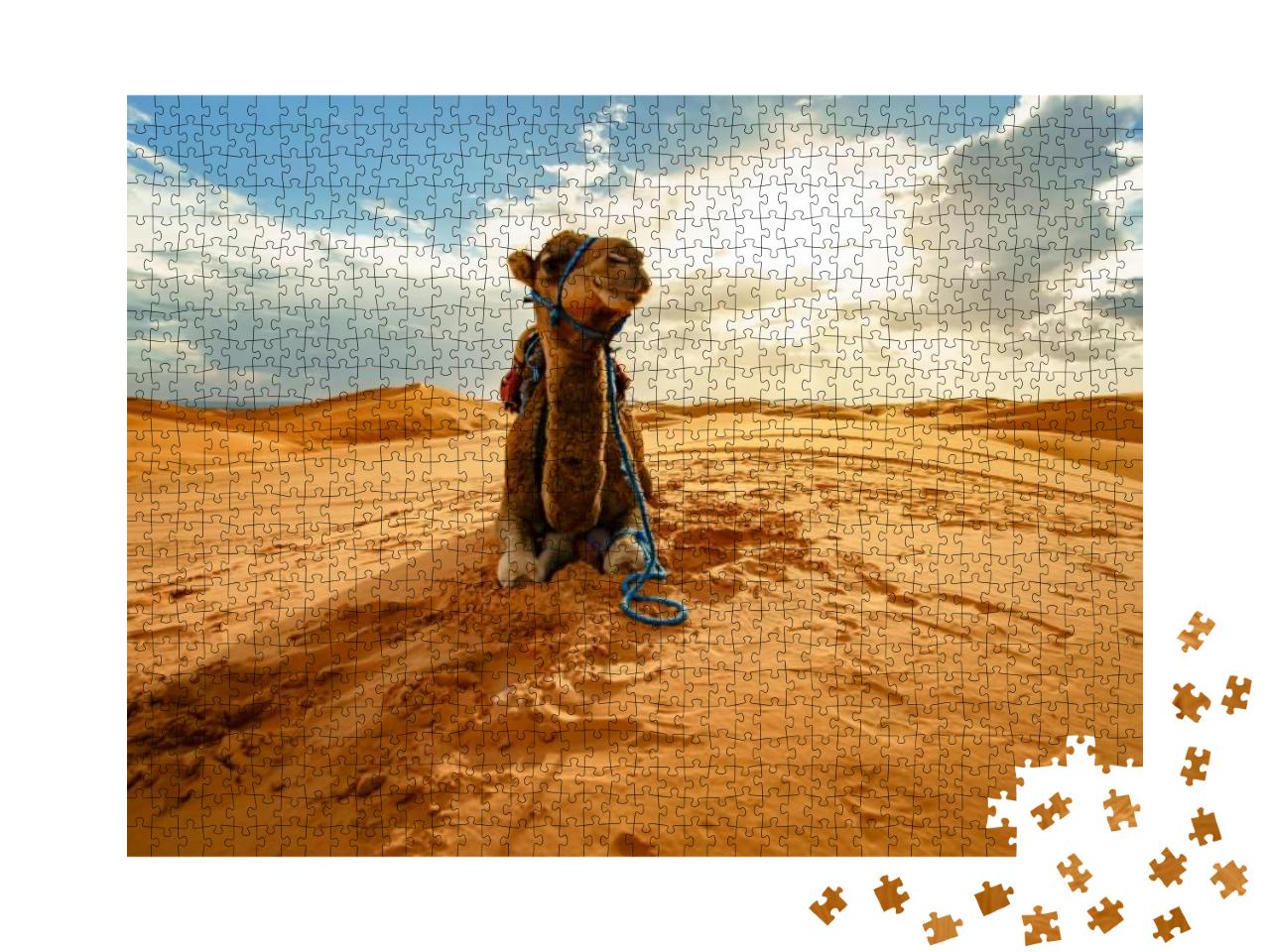 Dromedary Camel Sahara Desert Merzouga Morocco... Jigsaw Puzzle with 1000 pieces