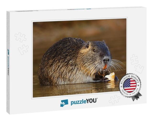 Coypu is Eating... Jigsaw Puzzle