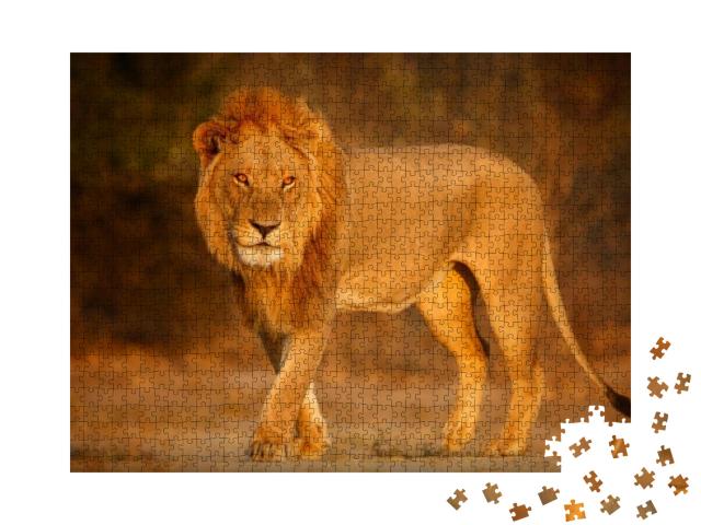 Beautiful Lion Male Portrait in Amazing Evening Light. Wi... Jigsaw Puzzle with 1000 pieces