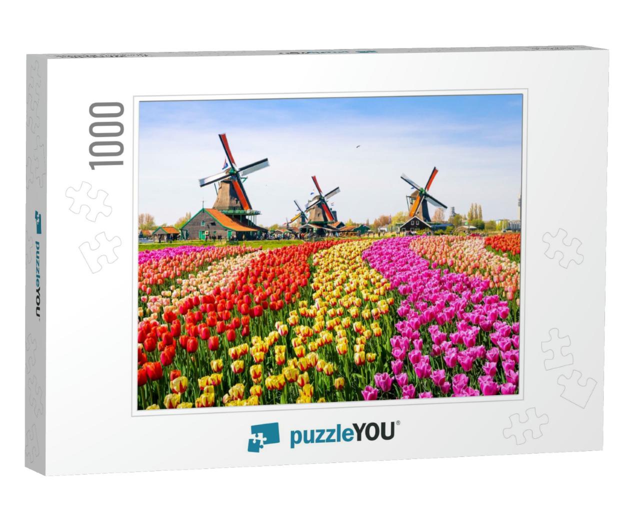 Landscape with Tulips, Traditional Dutch Windmills & Hous... Jigsaw Puzzle with 1000 pieces