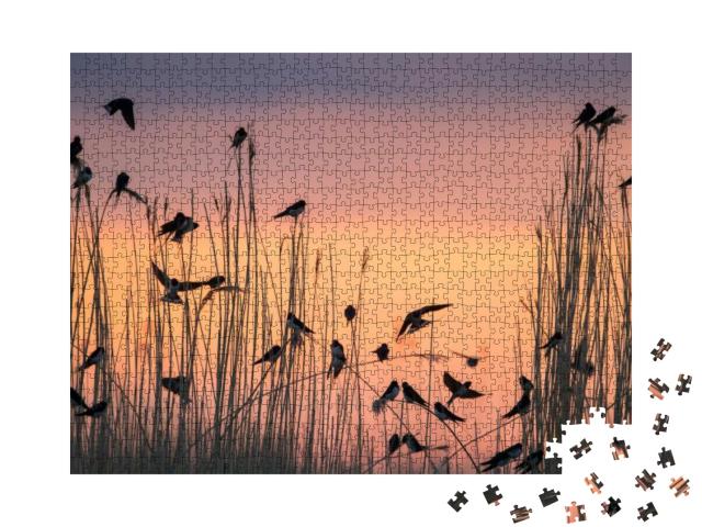 Group of Migratory Barn Swallows Preparing for Communal R... Jigsaw Puzzle with 1000 pieces