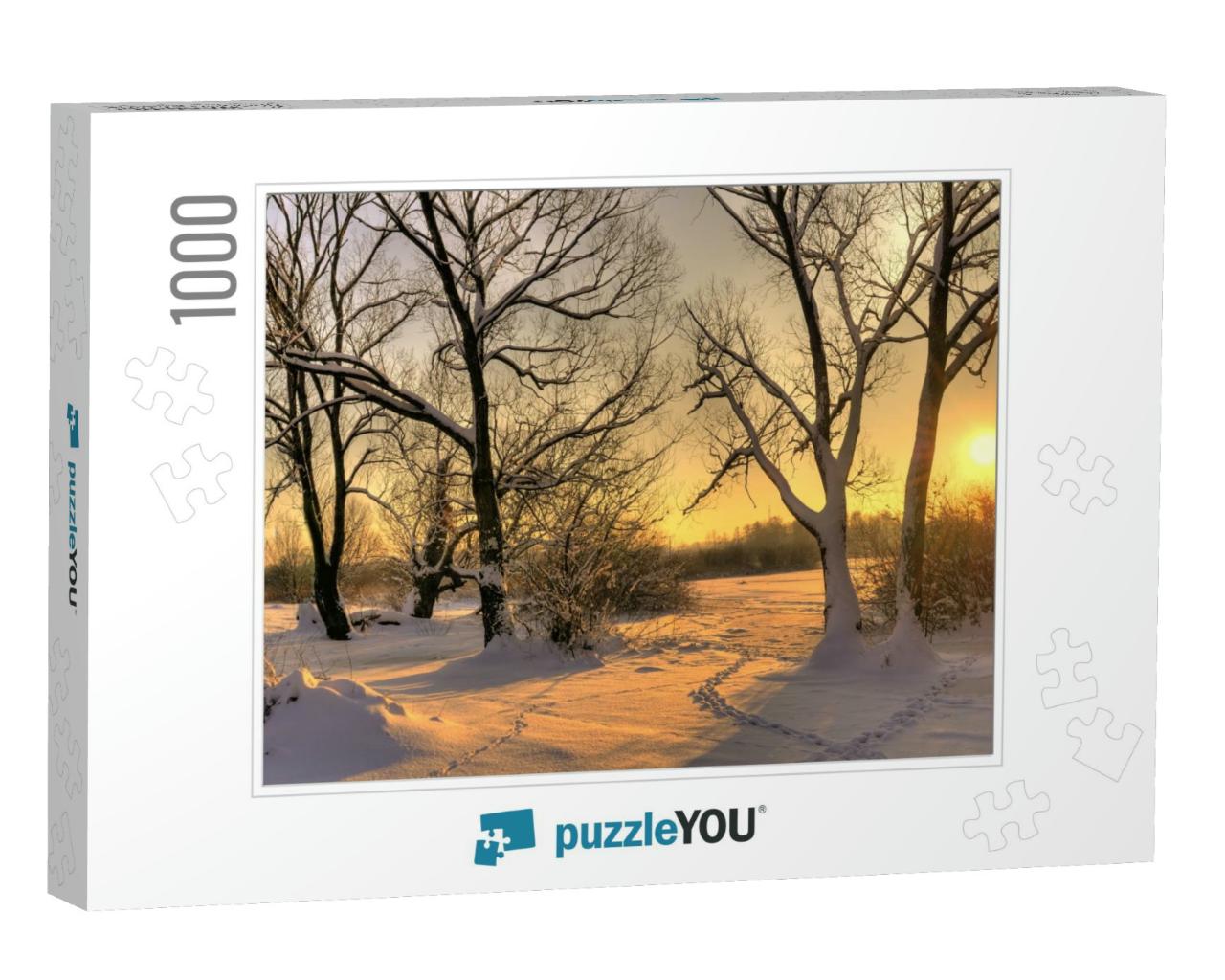 Beautiful Winter Sunset with Trees in the Snow... Jigsaw Puzzle with 1000 pieces