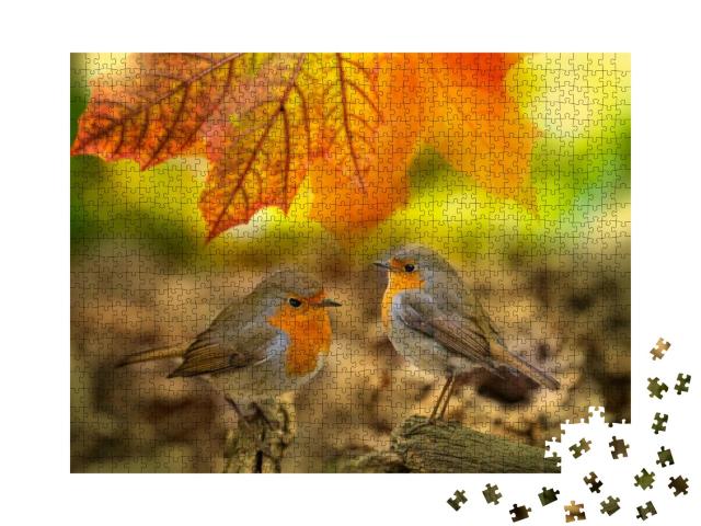 Red Robin Erithacus Rubecula Birds Close Up in a Forest... Jigsaw Puzzle with 1000 pieces