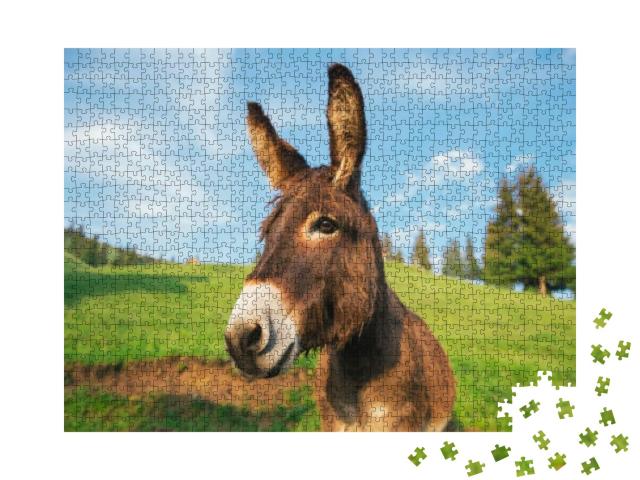 Picture of a Funny Donkey At Sunset in Transylvania... Jigsaw Puzzle with 1000 pieces