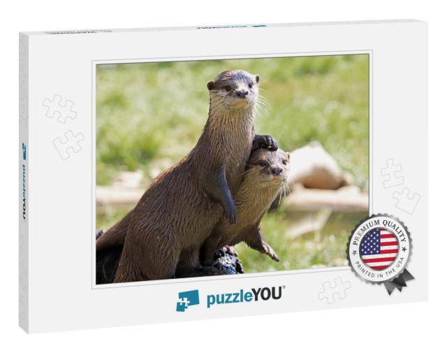 Pair of River Otters with the Foot of One Otter Resting o... Jigsaw Puzzle