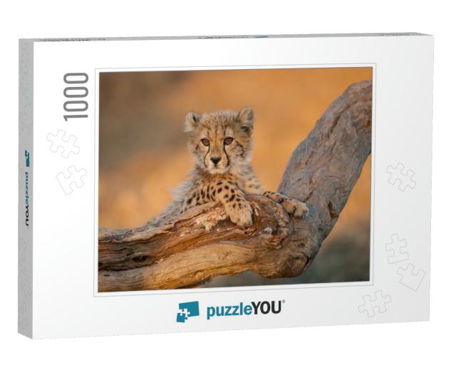 Baby Cheetah with Big Eyes Portrait Sitting on a Dead Log... Jigsaw Puzzle with 1000 pieces