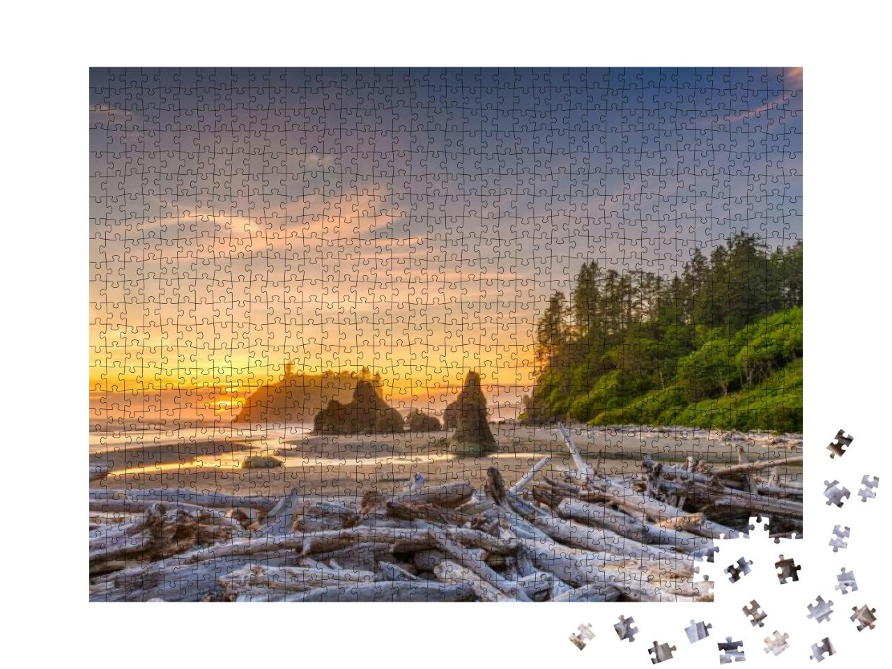Olympic National Park, Washington, USA At Ruby Beach with... Jigsaw Puzzle with 1000 pieces