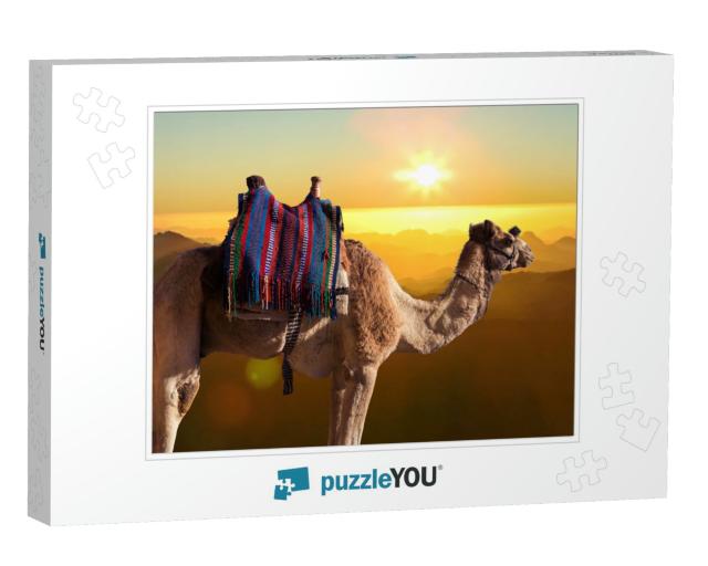Dromedar Camel on the Background of the Mountain of St. M... Jigsaw Puzzle