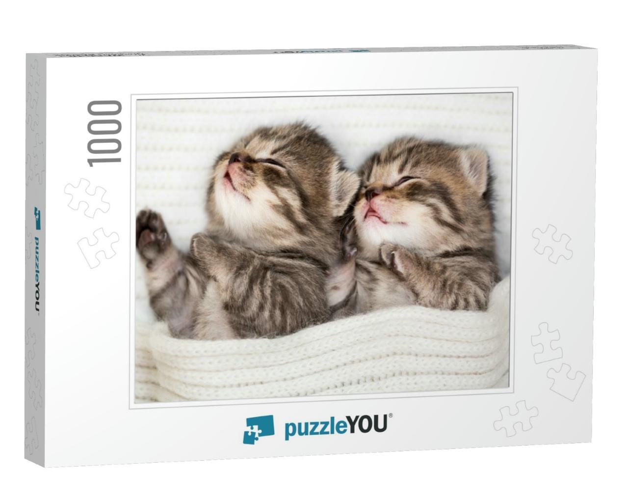 Two Sleeping Baby Kitten... Jigsaw Puzzle with 1000 pieces