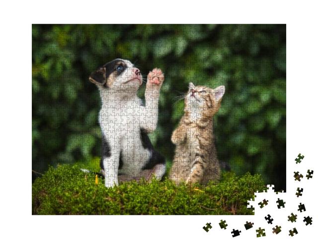 Little Puppy with a Little Tabby Kitten... Jigsaw Puzzle with 1000 pieces