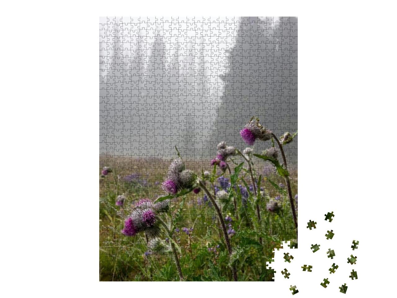 Usa, Washington State, Olympic National Park. Thistle Flo... Jigsaw Puzzle with 1000 pieces