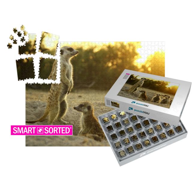 Meerkat the Most Funny Animal. Namibia Wild Life... | SMART SORTED® | Jigsaw Puzzle with 1000 pieces