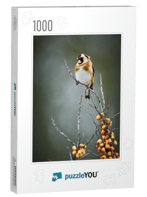 European Goldfinch Carduelis Carduelis, Black & Yellow So... Jigsaw Puzzle with 1000 pieces