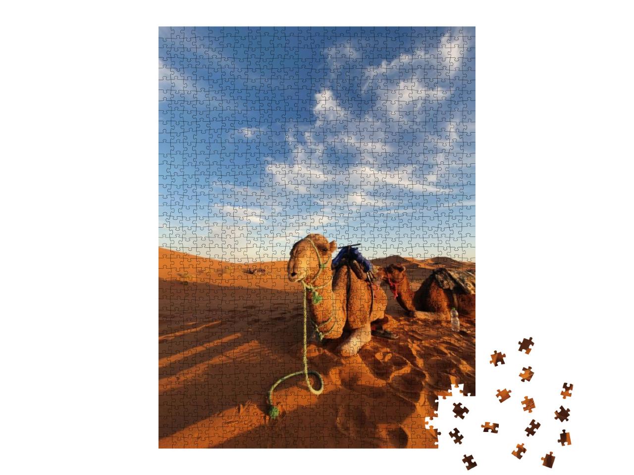 Camel in Sahara Desert Morocco... Jigsaw Puzzle with 1000 pieces
