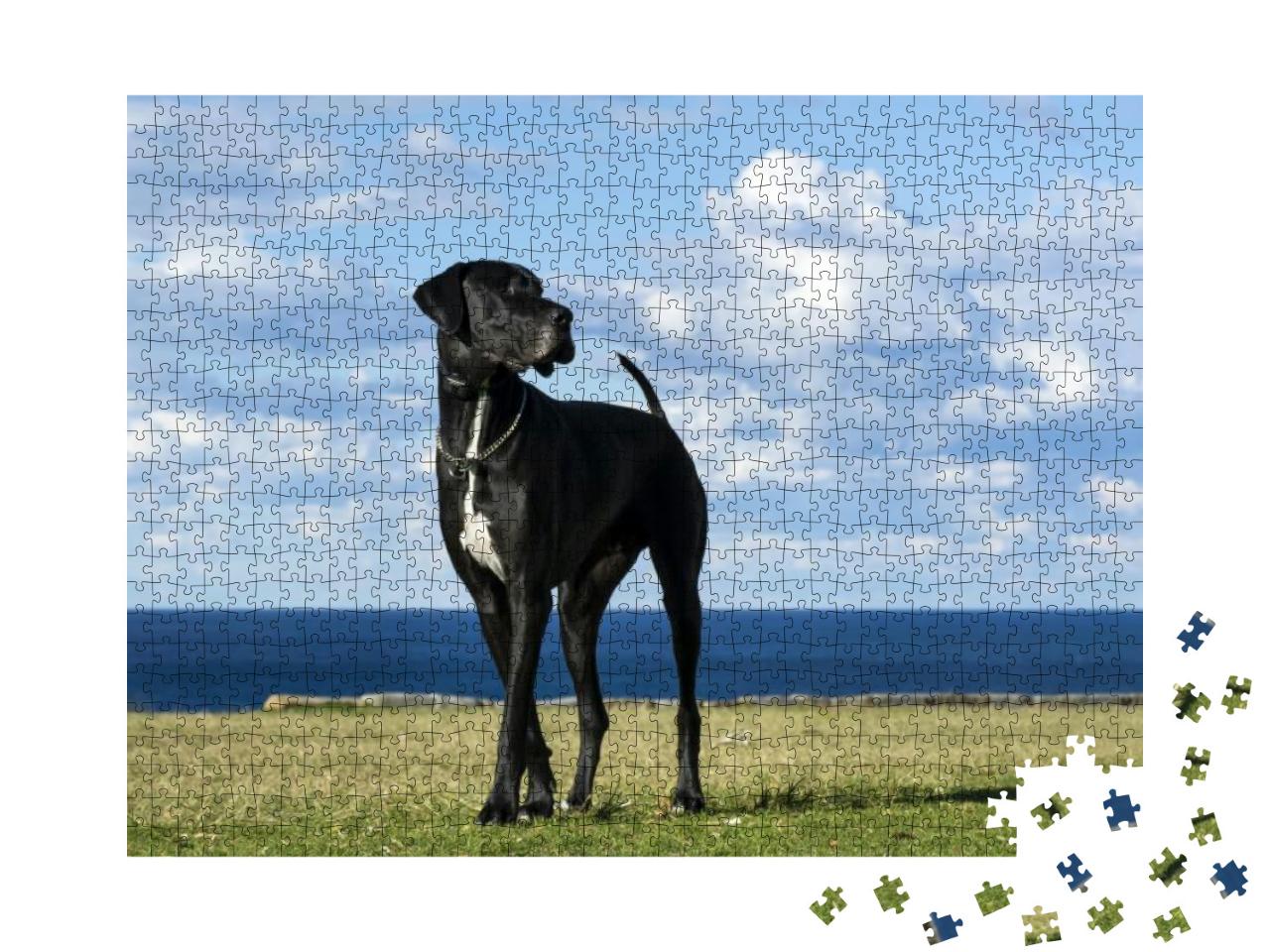 Great Dane by the Sea... Jigsaw Puzzle with 1000 pieces
