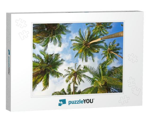 Coconut Palm Trees Perspective View... Jigsaw Puzzle