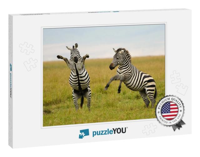 Burchells or Plains Zebra in Tanzania... Jigsaw Puzzle