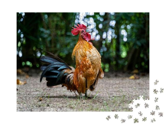 Rooster Crows. Big Rooster Crowing on the Ground of Farm... Jigsaw Puzzle with 1000 pieces