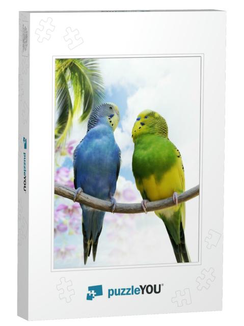 Two Budgerigars Perching on a Branch... Jigsaw Puzzle