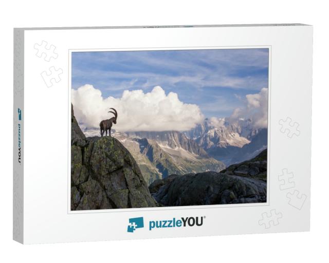 Wild Ibex in Front of Iconic Mont-Blanc Mountain Range on... Jigsaw Puzzle