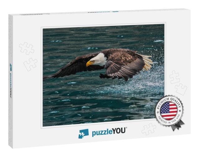 American Bald Eagle Swooping Down to Grab a Fish in Alask... Jigsaw Puzzle